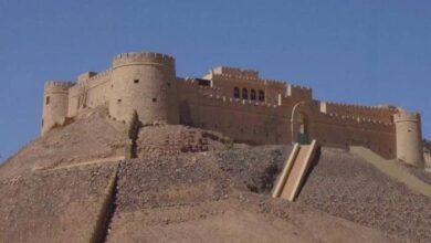 قبيلة الزوايد.. حضور عربي ممتد من ليبيا إلى عمق الخليج