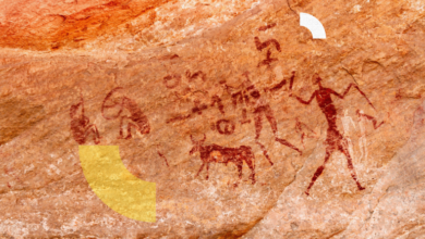 طاسيلي ناجر