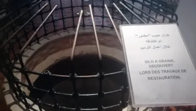 قصر خداوج العمياء 