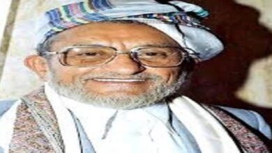 سنان أبو لحوم