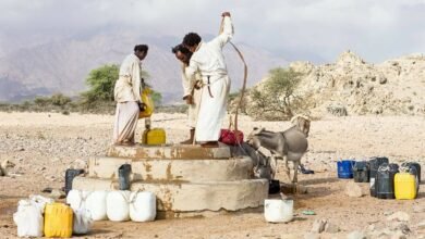 شرايين الصحراء الشرقية