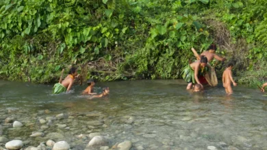 قبائل المنتاوي