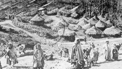 قبيلة الزواوة.. القوة الأمازيغية التي صمدت فوق جبال جرجرة لقرون