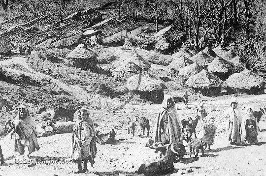 قبيلة الزواوة.. القوة الأمازيغية التي صمدت فوق جبال جرجرة لقرون