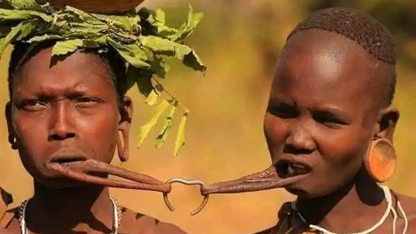 قبيلة السان في جنوب أفريقيا.. ذاكرة الإنسان الأولى على الأرض