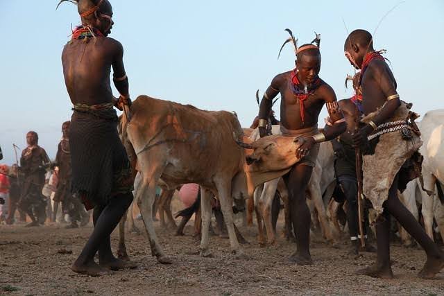 قبيلة الفيندا في جنوب إفريقيا.. هوية ثقافية صامدة بين الأسطورة والواقع