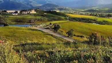 قبيلة الشقفة.. إرث بدوي وهوية متجددة في صحراء الشرق الأوسط