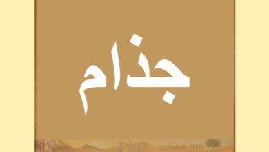 قبيلة جذام… قبيلة الحدود والسياسة في تاريخ المشرق العربي