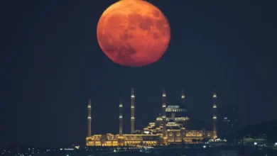 الأيام البيض