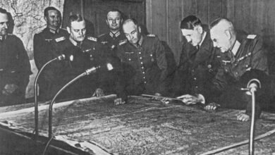 ثعلب الصحراء