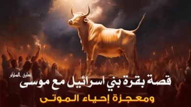 قصة البقرة في عهد موسى عليه السلام