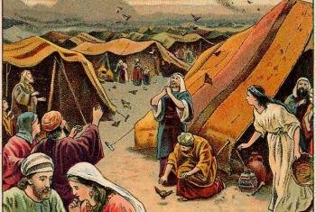 الوديعة القبلية.. سيف عند باب الخيمة يوقف الدم في بادية الشام