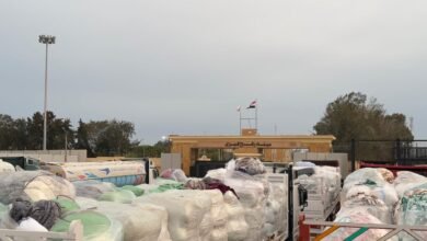 قوافل الحياة تعبر رفح: مساعدات مصرية ضخمة في طريقها إلى غزة