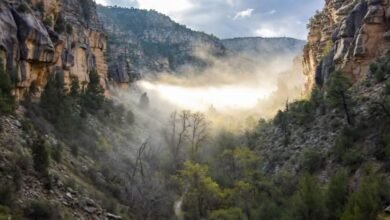 رحلة الطائف