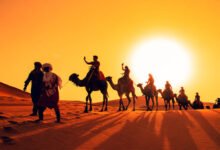 عادة الحمى القبلية.. نظام تقليدي لحماية الأرض في الشرق الأوسط