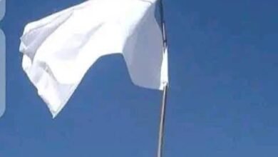 عادة الراية في التحكيم القبلي ببادية الشام.. رمز السلام ووقف النزاع