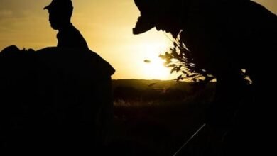 التويزة.. عادة قبلية أمازيغية تحفظ روح التضامن في جبال المغرب