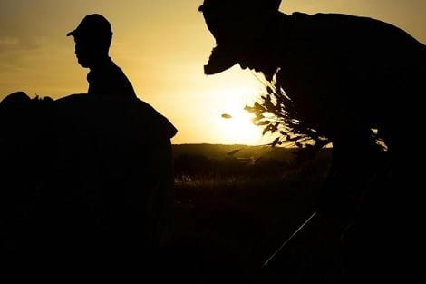 التويزة.. عادة قبلية أمازيغية تحفظ روح التضامن في جبال المغرب