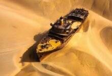 رمال الصحراء