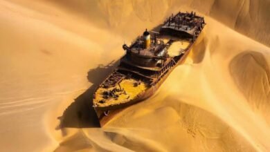 رمال الصحراء