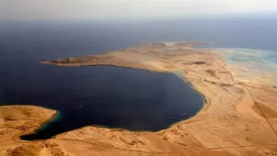 مجمع البحرين"