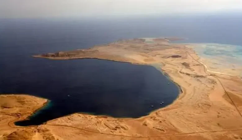 مجمع البحرين"