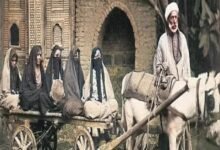 على عوض شيخ العربجية