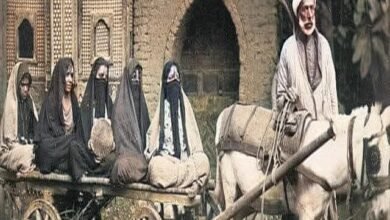 على عوض شيخ العربجية