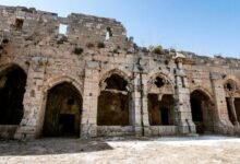 الاحتفال بالربيع وزراعة النخيل في قلعة الحصن.. عادة عربية في قلب التاريخ