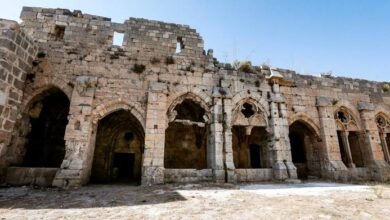 الاحتفال بالربيع وزراعة النخيل في قلعة الحصن.. عادة عربية في قلب التاريخ