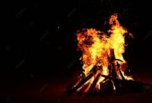 الجلوس حول النار للتداوي بالأعشاب.. عادة عربية قديمة في البادية الأردنية والسورية