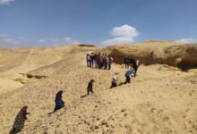 جبل النقلون