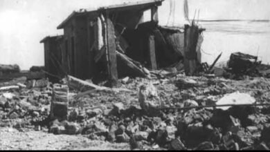 مذبحة بحر البقر.. جريمة إسرائيلية هزت ضمير العالم واستشهد فيها أطفال يحملون كتبهم