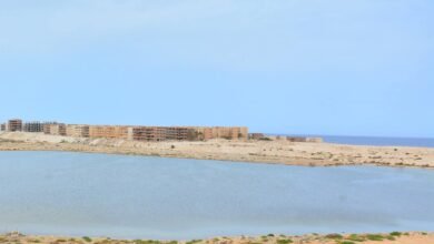 رومل في مطروح.. عبق التاريخ العسكري وأثره على المنطقة