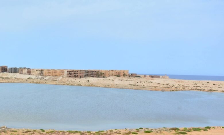 رومل في مطروح.. عبق التاريخ العسكري وأثره على المنطقة