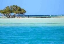 شاطئ مرسى علم.. جمال الطبيعة وأعماق البحر الأحمر الساحرة