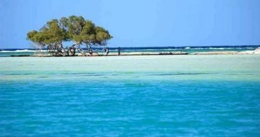 شاطئ مرسى علم.. جمال الطبيعة وأعماق البحر الأحمر الساحرة