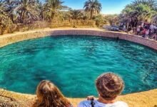 العلاجات الطبيعية في سيوة... موروث صحي من قلب الصحراء