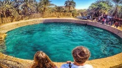 العلاجات الطبيعية في سيوة... موروث صحي من قلب الصحراء