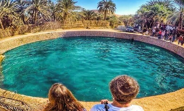 العلاجات الطبيعية في سيوة... موروث صحي من قلب الصحراء