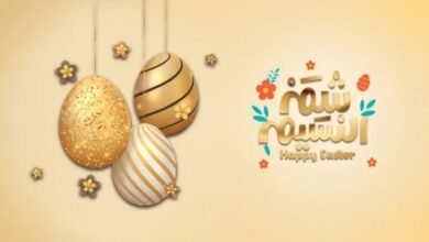 شم النسيم بين الماضي والحاضر.. كيف تطورت مظاهر الاحتفال؟