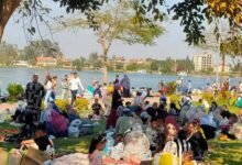 عادات الربيع في الدول العربية.. كيف تحتفل الشعوب بعيد الطبيعة بعيدًا عن شم النسيم؟