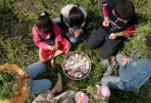 شم النسيم في صعيد مصر.. احتفالات بطابع خاص تمزج بين التراث الفرعوني وروح العائلة