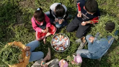 شم النسيم في صعيد مصر.. احتفالات بطابع خاص تمزج بين التراث الفرعوني وروح العائلة