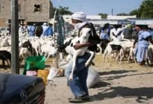 عيد الأضحى في موريتانيا.. طقوس الذبح الجماعي التي تتحول إلى مهرجان شعبي
