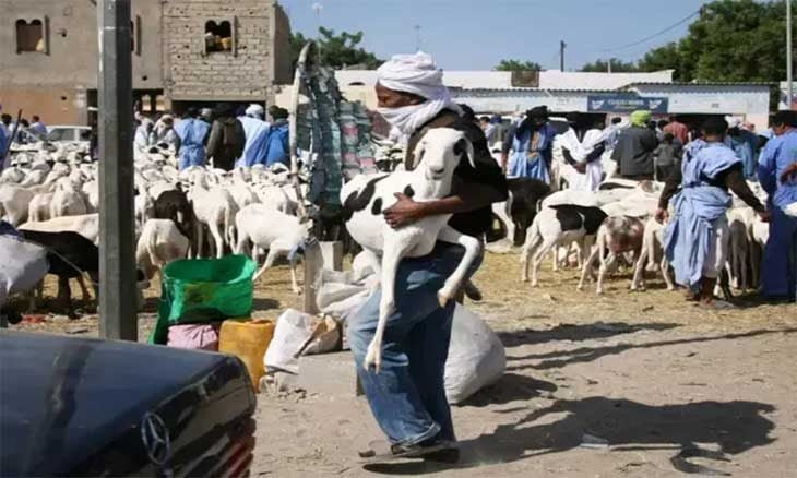 عيد الأضحى في موريتانيا.. طقوس الذبح الجماعي التي تتحول إلى مهرجان شعبي