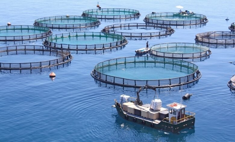 عُمان توسّع استثمارات الغذاء بمشروعات زراعية وسمكية