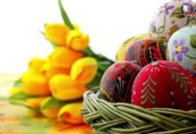 ألوان الربيع وروائح الفسيخ.. كيف يحتفل المصريون بـ شم النسيم؟