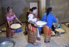 التويزة في الجزائر.. تقليد تضامني يعكس روح الجماعة والتكافل