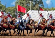 عروض التبوريدة في المغرب.. استعراض الفروسية الذي يحفظ روح التاريخ ويشعل حماس الجماهير